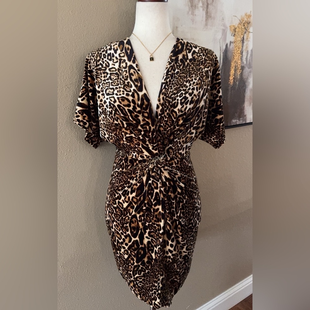 Leopard Print Velvet V Neck Dress